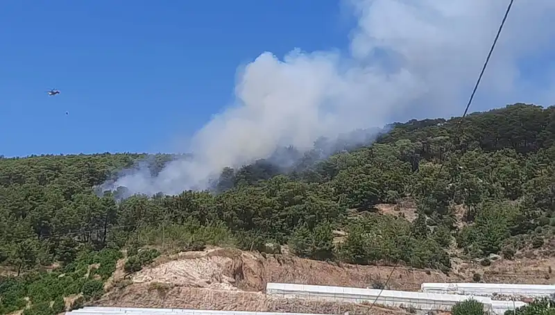 Kumluca’da Patlayan Orman Yangını: Doğal Güzellikler Tehlikede!
