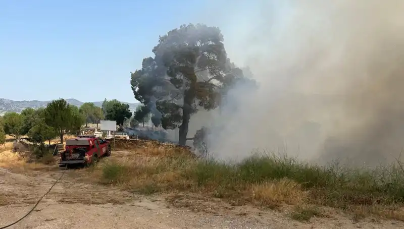 Muğla'da Orman Yangını: Yüzlerce Hektar Alan Kül Oldu!