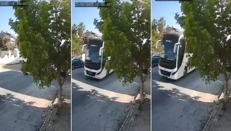 Yolda Yatan Köpeği Ezip Geçen Şoför Kim? Hayvanseverler İsyan Etti