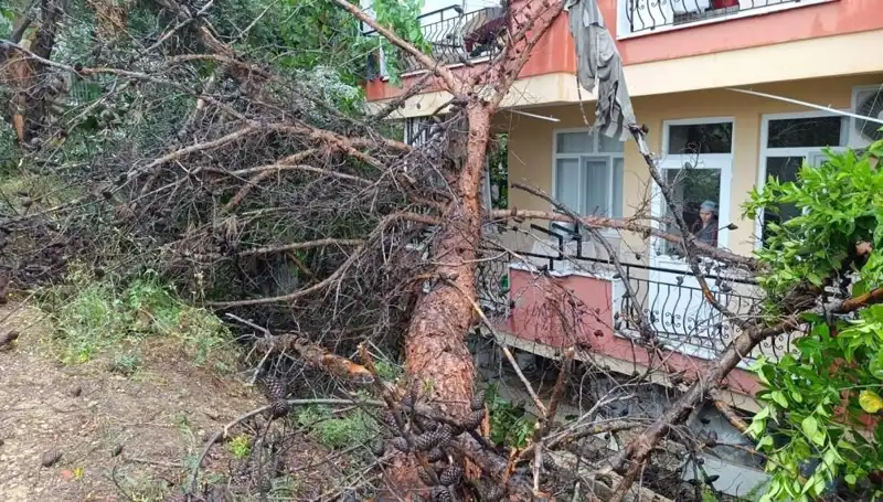 ** Yağmurun Zirve Noktası: Bina Çatısının Çökmesiyle Yaşanan Olaylar**