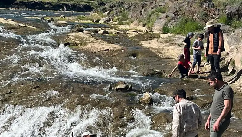 İnci Kefalinin Büyüleyici Göçü: Turistlerin Gözdesi Oldu
