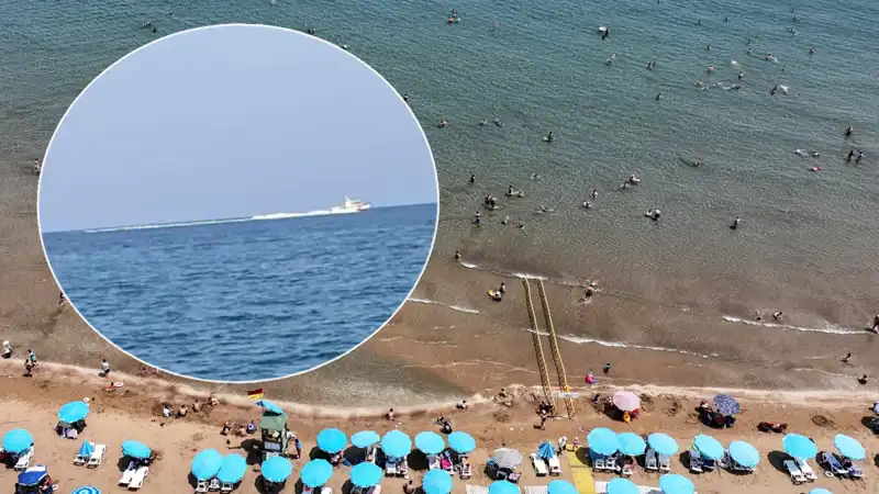 Plajda Köpek Balığı Panik Anları: Sahil Güvenlik Harekete Geçti, Gerçek Nedir?