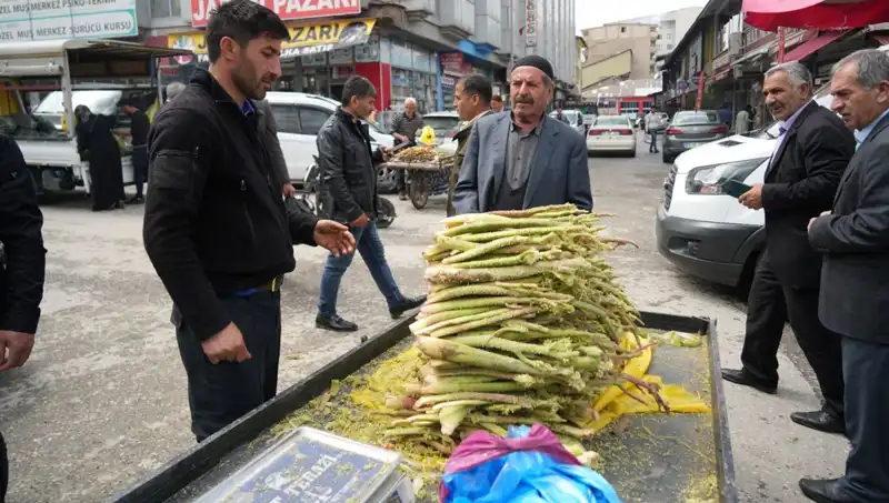 Doğal Şekerin Şifalı Gücü: Kanser ve Mide Hastalıklarına Karşı Etkisi
