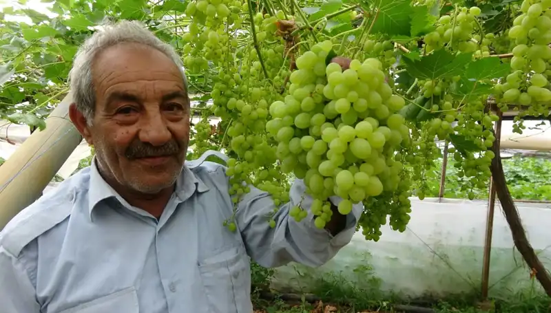 Zirai Don Etkisiyle Meyve Pazarında Şok Fiyat Artışları Yaşanıyor
