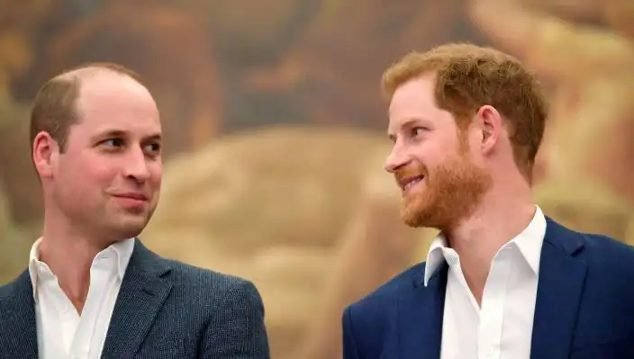 Prens Harry ve Prens William Arasındaki Küslük, Monarşinin Geleceğini Tehdit Ediyor