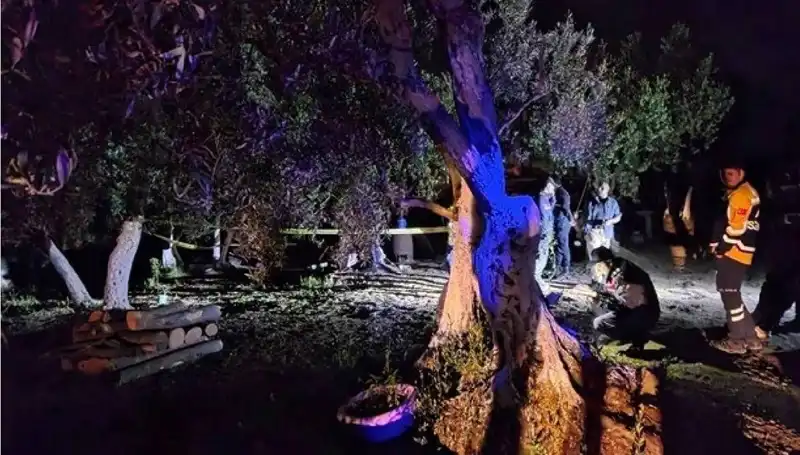 Çiftlikteki Baltalı Vahşete Göz Altı! Tutuklama Süreci Başladı