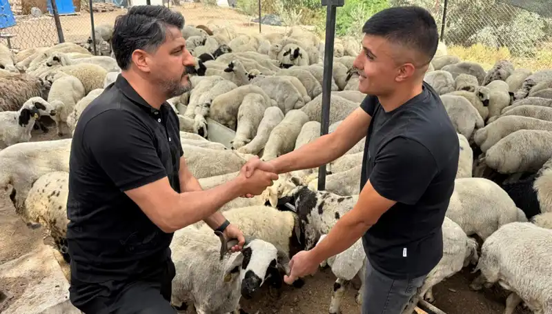 Kurbanlık Alışverişinde Dikkat Edilmesi Gereken Tuzağa Dikkat!