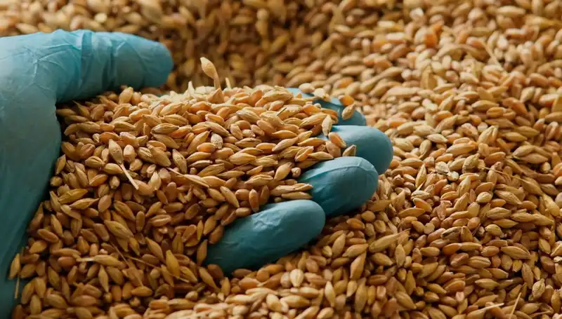 Kalp Hastalığı Riskini Azaltmanın Yolları: Beslenmenin Önemi