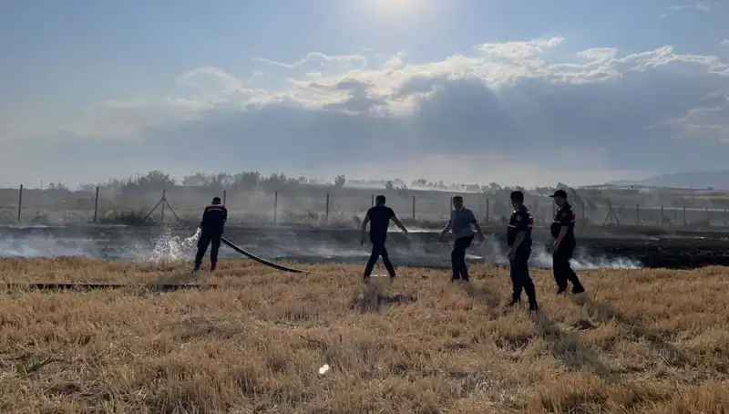 Merzifon'da Korkunç Yangın: Tarım Arazisi Küle Döndü, Çiftçiler Şoke Oldu