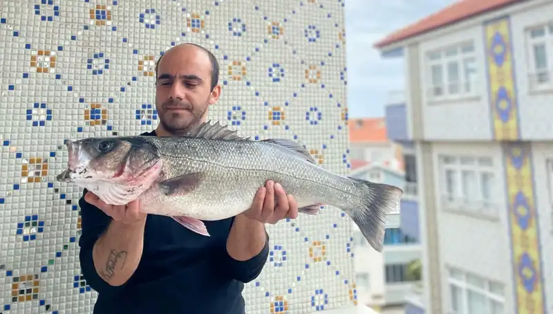 Dev Levrek Avında Şaşırtan Başarı: 7,5 Kiloluk Balık Elde Edildi!