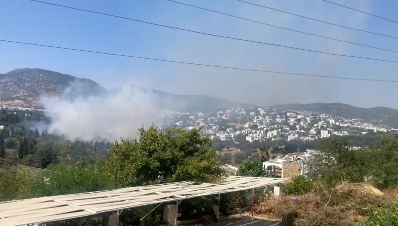 Muğla'daki Orman Yangınları Kontrol Altına Alındı: İyileşme Süreci Başladı