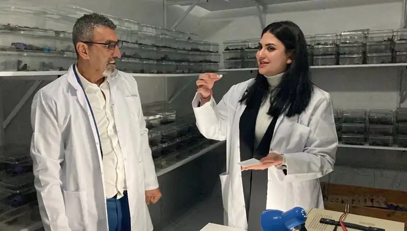 Akrep Zehri ile Şekerin Şaşırtıcı Uyumu: Sağlık mı, Tehlike mi?