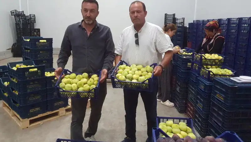 Mersinli Çiftçiler, 20 TL'den İhraç Edilen Ürünlerle Yüzlerini Güldürüyor!