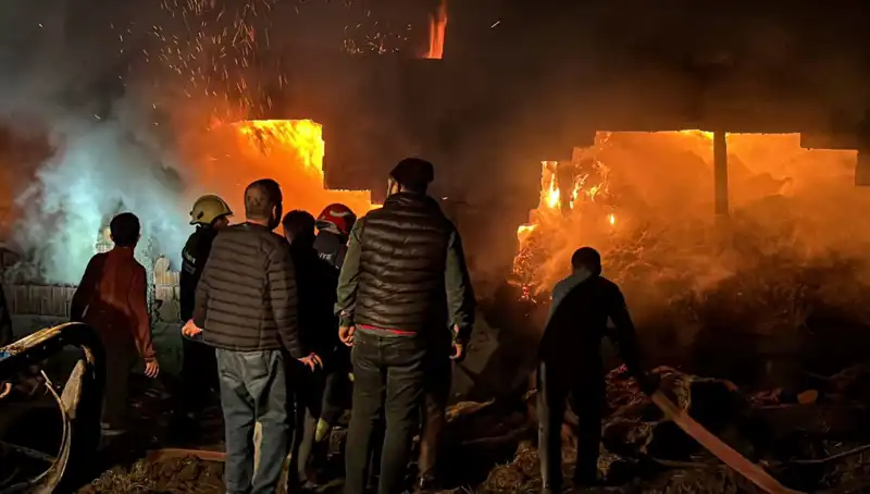 Bolu'da Çıkan Yangın Ahırı Küle Çevirdi: Olayın Ardındaki Sebepler