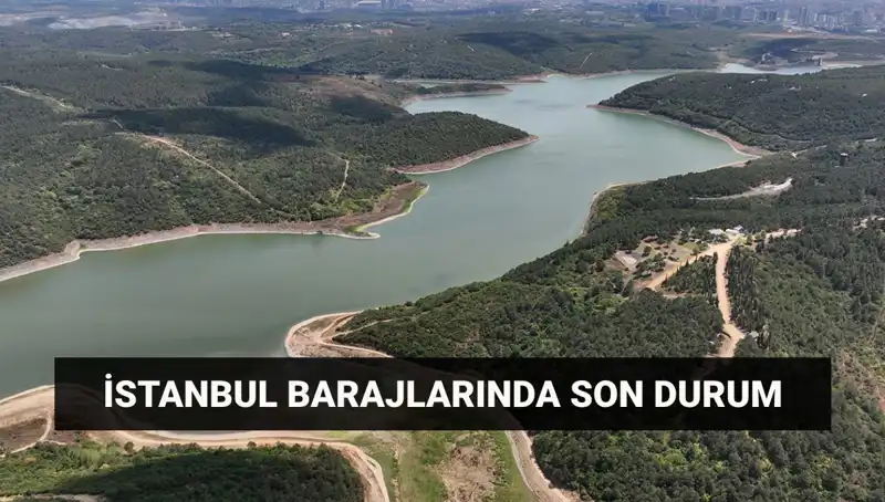 İstanbul'daki Barajlar Son Durum: Su Krizi Mi Kapıda?