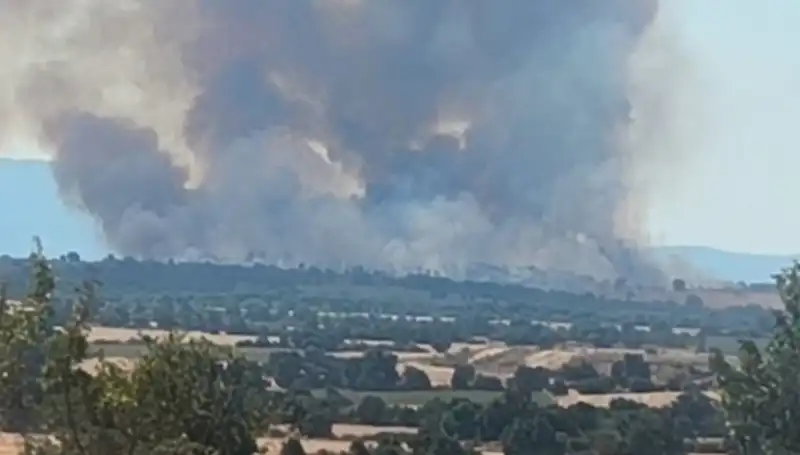 Edirne'yi Tehdit Eden Komşu Orman Yangını: Neler Oluyor?