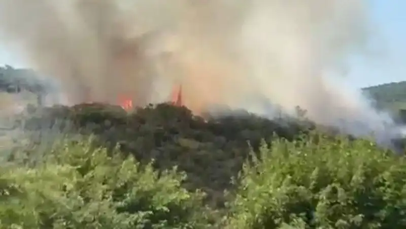 İstanbul'da Orman Yangını: Vatandaşlar Tahliye Edildi, Gözler Yangın Bölgesinde