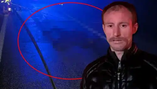 Hayvan mı, İnsan mı? Kamyonet Kazasında Yaşanan Şok Edici Olay