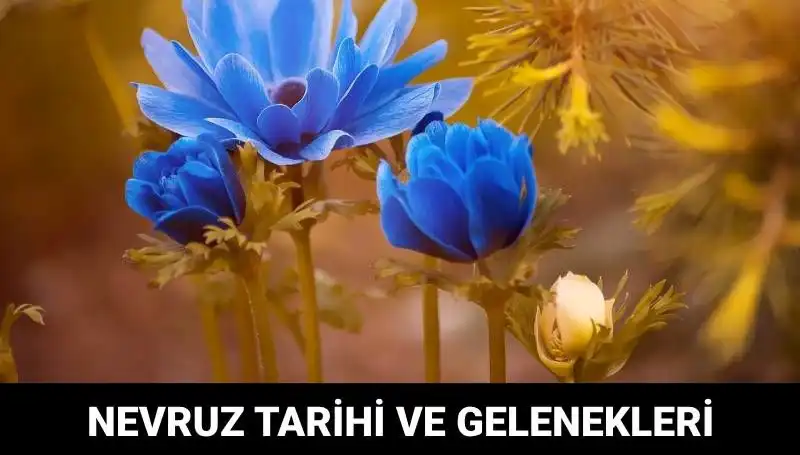 Nevruz Bayramı: Gelenekleri ve Kutlama Tarihleriyle Bir Kültürel Zenginlik