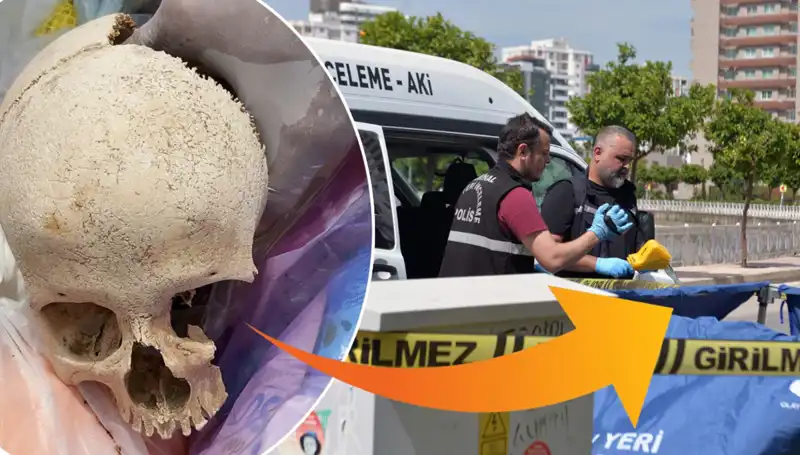 Çöp Dolu Sitede Bulunan Kafatasının Sırrı Ortaya Çıktı!