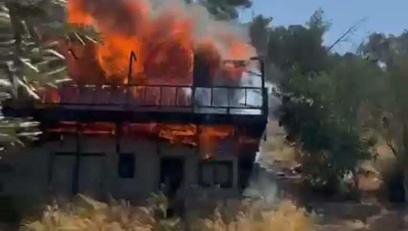 Bodrum'da Yangın Alarmı: Ekipler Zamanla Yarıştı!