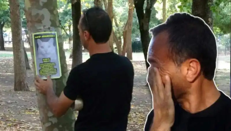 Herkes Onu Arıyor: Şimdiye Kadar Bulunan Köpeklerle Ağlayan Sahibi