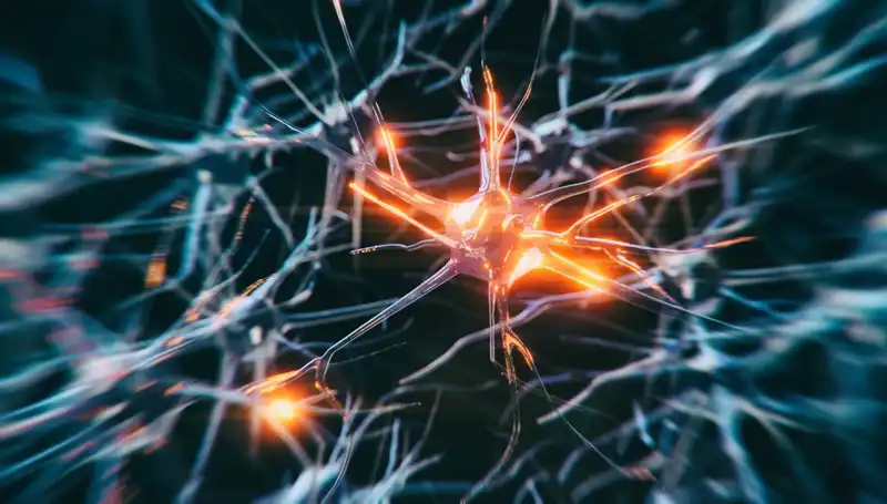 Alzheimer Vakalarının Artışı: Nedenleri ve Olası Çözümler