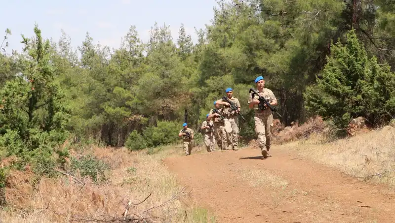Kilis’te Orman Yangınlarına Karşı Önlemler Artıyor: Denetim Süreçleri Detaylandırıldı