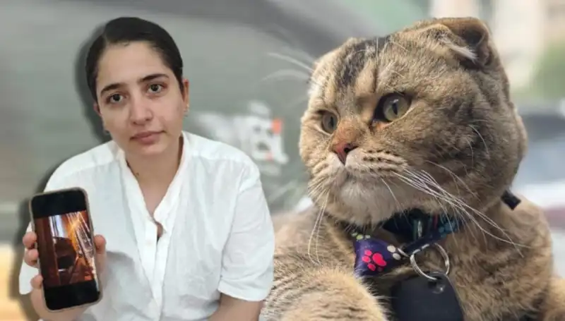 Evlilikte Kedi Faktörü: Eşim Beni Boşayacak Mı?
