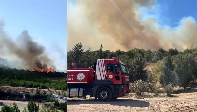 Gebze'de Tüm İtfaiyeyi Harekete Geçiren Büyüleyici Orman Yangını