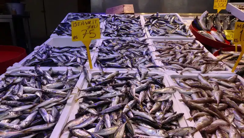 Balık Sezonu Kapanıyor: Son Avlar ve Gelecek Beklentileri