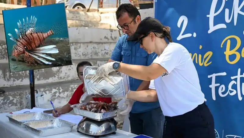 Antalya'da İstilacı Aslan Balığı İçin Unutulmaz Av Yarışması Düzenleniyor