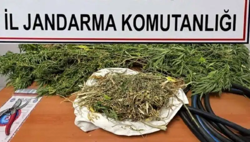 Niğde'de Dev Uyuşturucu Operasyonu: 100'den Fazla Gözaltı!