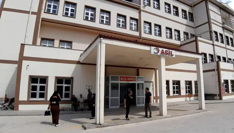 Bolu'da Tartışmalı Ayı Avı Kararı: Doğa Koruma mı Av Hakları mı?