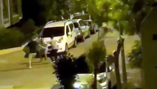 Avcılar'da Vatandaşa Saldırı: Cesur Kişilerin Müdahalesi Kurtardı