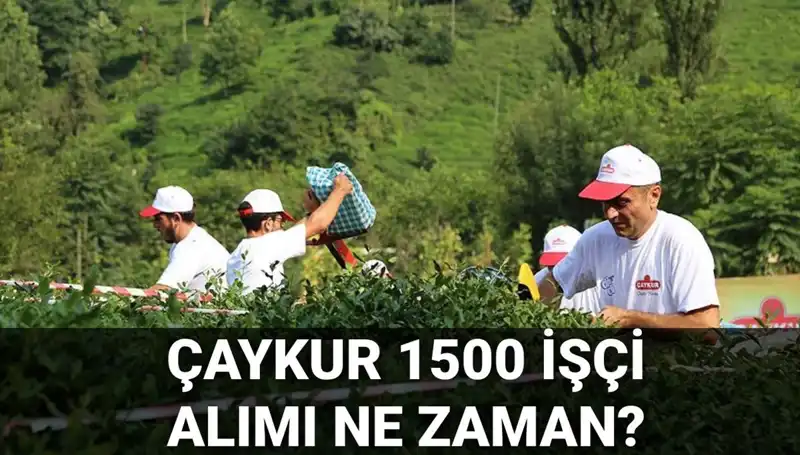 Çaykur İşçi Alım Süreciyle İlgili Tüm Detaylar Açıklandı