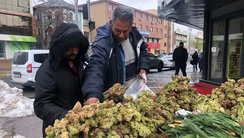 Kanserle Mücadelede Yeni Umut: Kendiliğinden Yetişen Vitamin Deposunun Faydaları