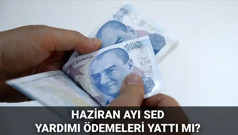 2025 Haziran Ayı SED Ödemeleri: Ne Zaman Yatacak ve Sorgulama Nasıl Yapılacak?