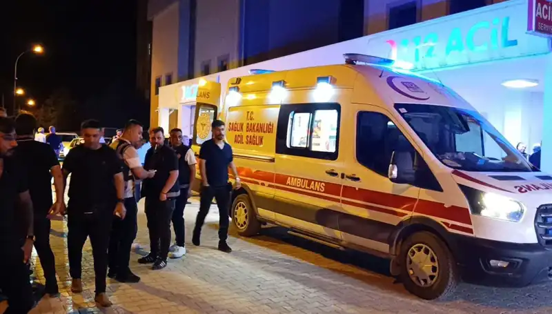 Kardeş Kavgasında Sonuç Feci: Canına Mal Oldu!