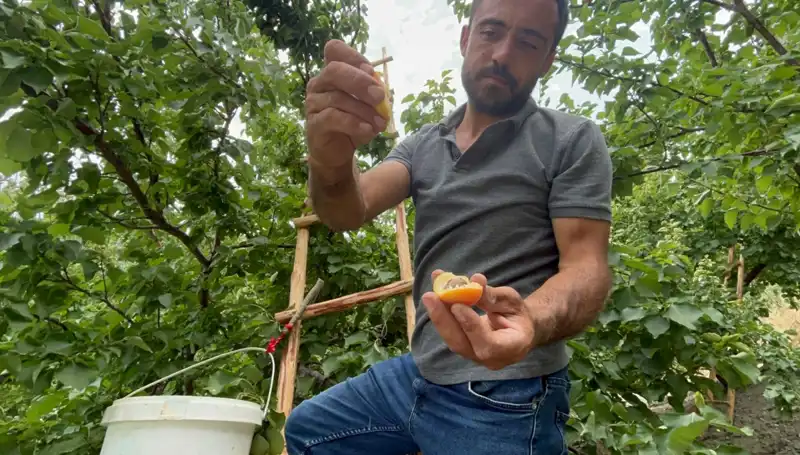 Üstün Lezzet: 50 TL ile 70 TL Arası Fiyatla Satılan Ürünler