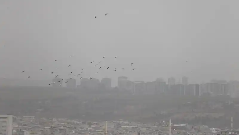 Şanlıurfa'da Toz Bulutu Neden Oluyor? Görüş Mesafesi Düşüyor!