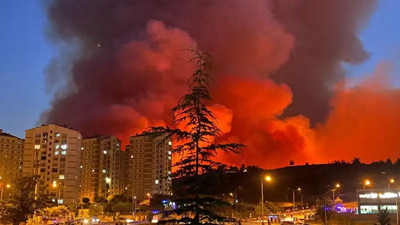 Bursa'da Yangınlar Neden Büyük Endişe Yaratıyor: Şehrin Geleceği Tehlikede mi?