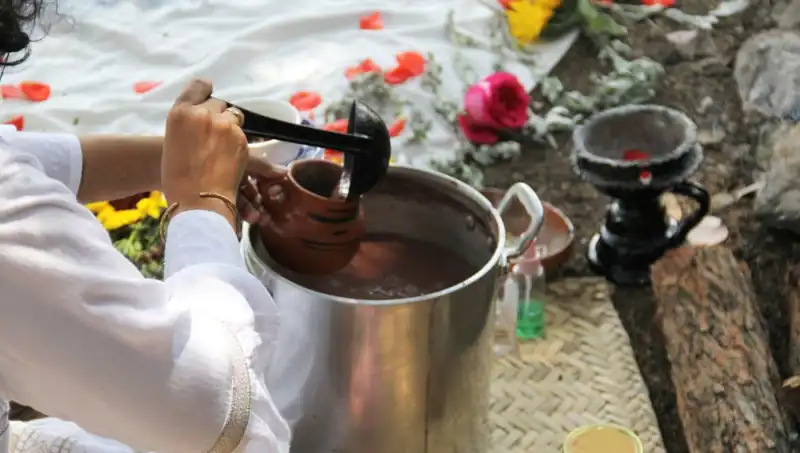 Ayahuasca: Esrarengiz Çayın Sağlık Faydaları ve Yasal Durumu