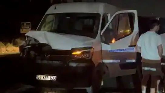 İstanbul'da Manda Kazası: Üç Kişi Yaralandı, Olayın Ardındaki Sebepler Neler?