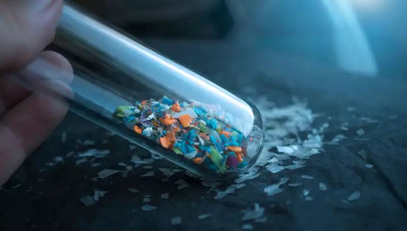 Mikroplastikler İnsan Beynine Ulaşıyor: Sağlığımız Üzerindeki Etkileri Neler?