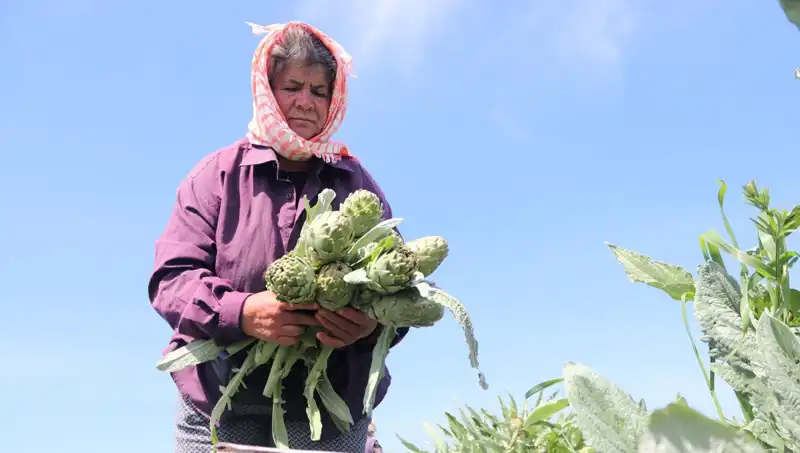 Tarladan Sofralara: Tezgahtaki Ürünler Neden Bu Kadar Pahalı?