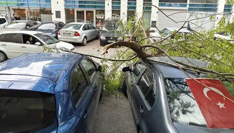 Kayseri'de Dalları Kıran Fırtına, Hayatı Olumsuz Etkiledi