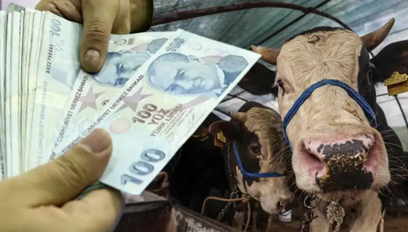 Bayram Öncesi Memur ve Emekli Maaşları Yatacak mı? Açıklama Geldi!
