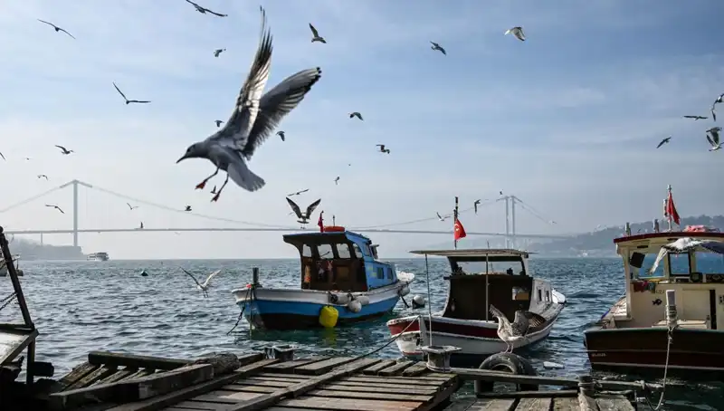 İstanbul’da Bahar Havası Müjdesi: Tarih ve Detaylar Açıklandı
